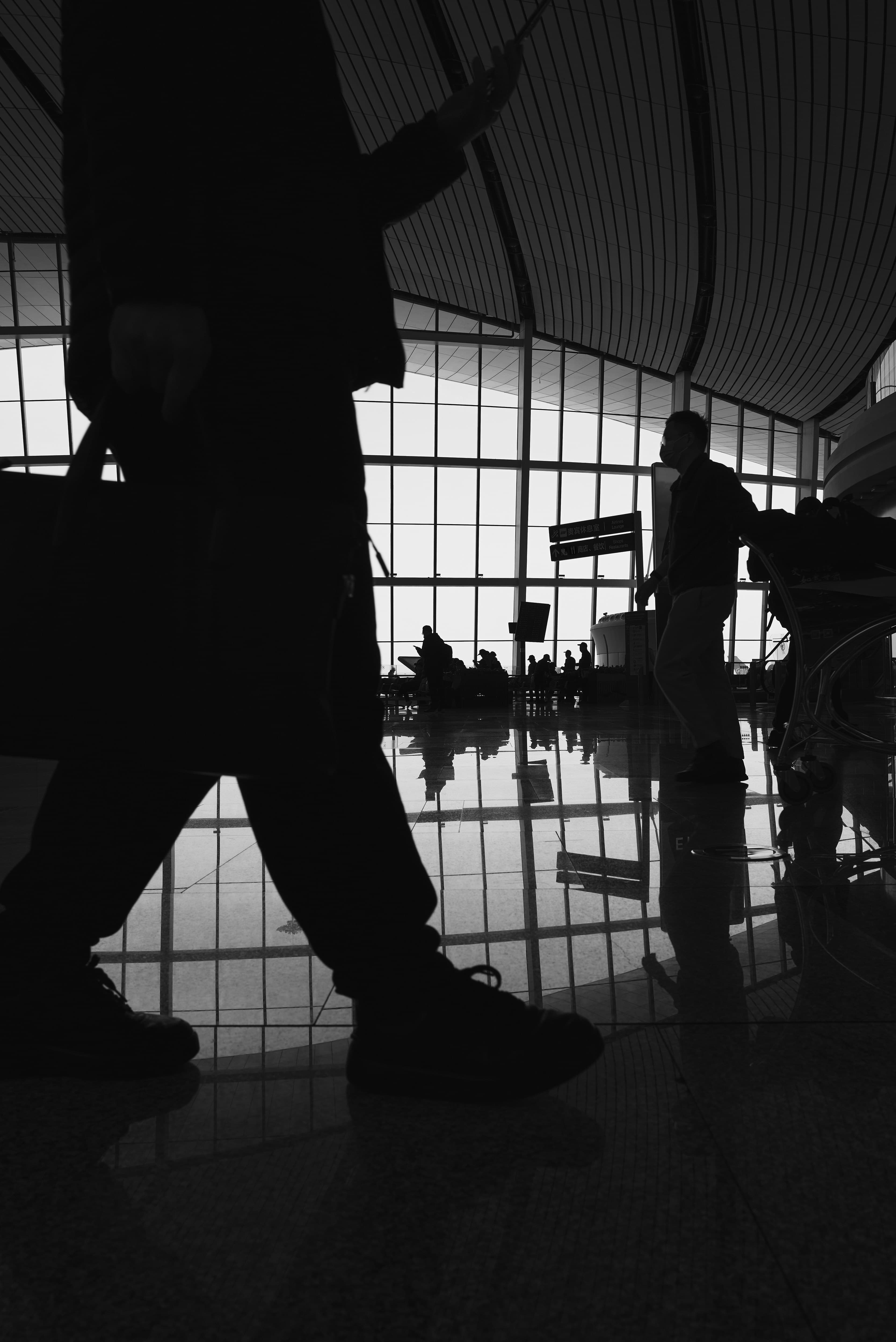 Change or Cancel Flight
